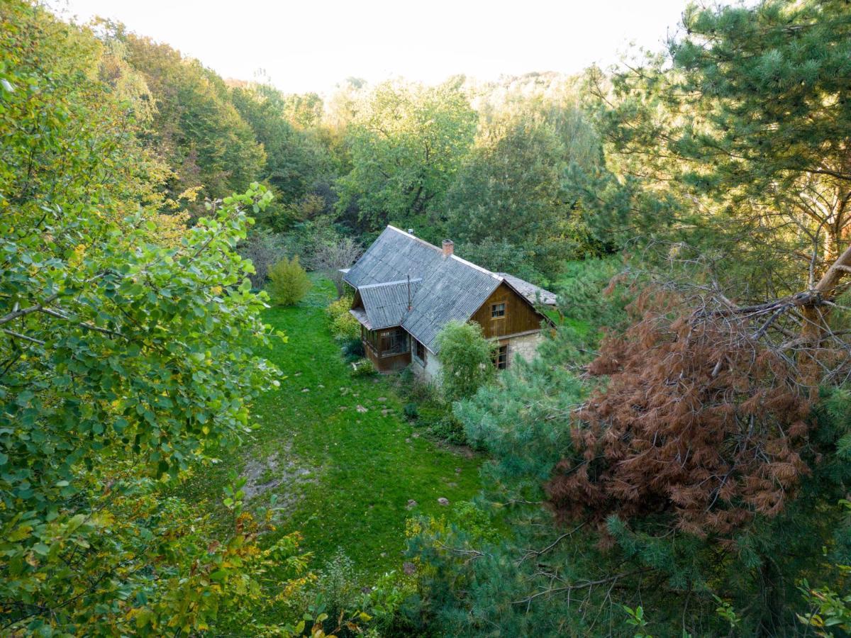 Agroturystyka Siedlisko Wydry - Dom W Srodku Lasu Wierzchoniow Экстерьер фото