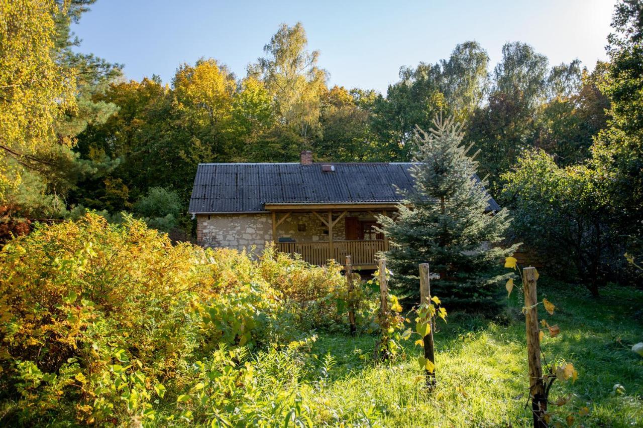 Agroturystyka Siedlisko Wydry - Dom W Srodku Lasu Wierzchoniow Экстерьер фото